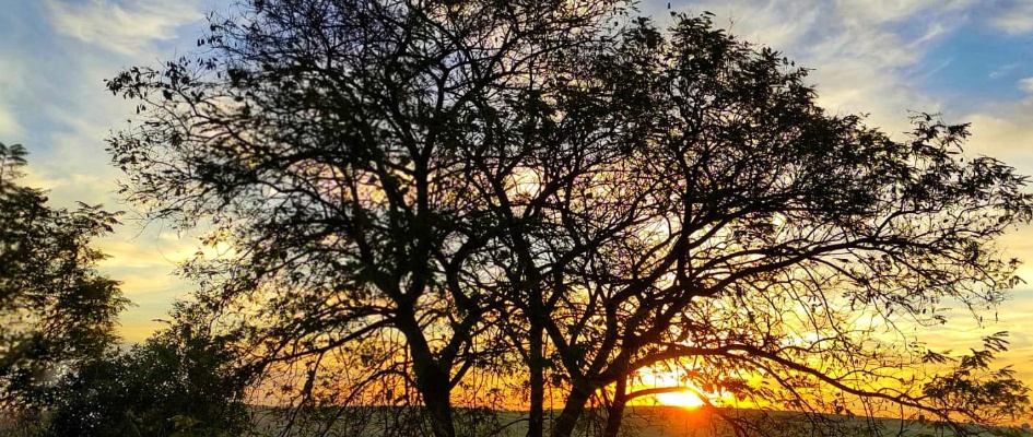 432236045_807905464700435_8481695510209905059_n_