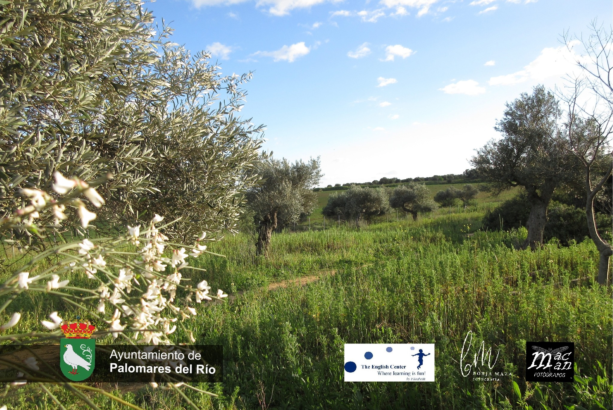 432267651_807890601368588_3664933801831284432_n