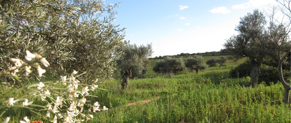 432267651_807890601368588_3664933801831284432_n_