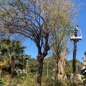 432296886_807804958043819_6390659053123172915_n