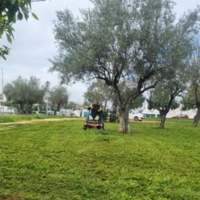 432318410_810292891128359_4731181264741875114_n