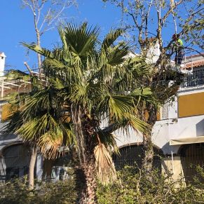 432330293_807805041377144_3245982519518267016_n