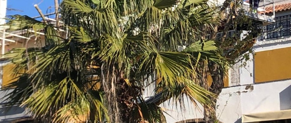 432330293_807805041377144_3245982519518267016_n