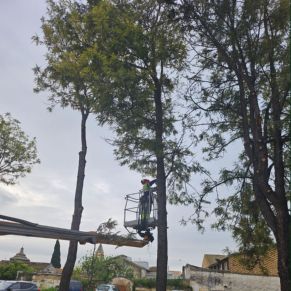 432389516_810292934461688_7088658629835735880_n