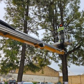 432402482_810292947795020_1417693742013623067_n