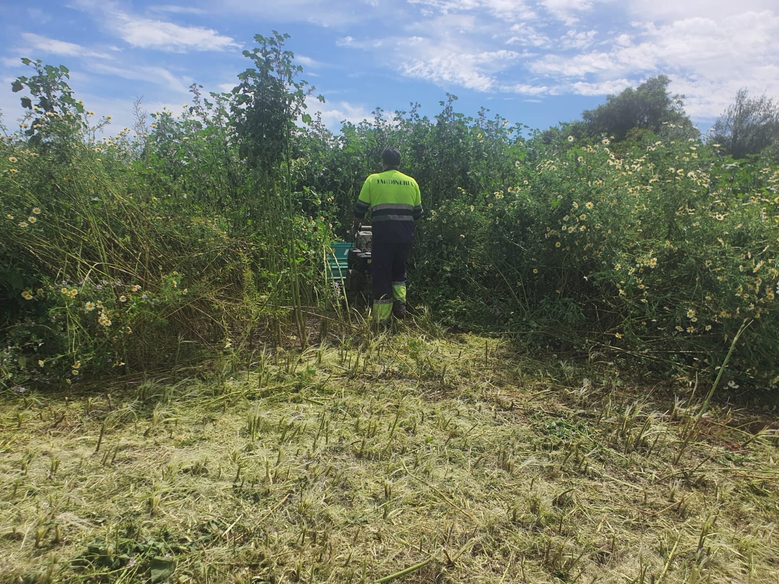 434559110_823147789842869_5157290697882155452_n