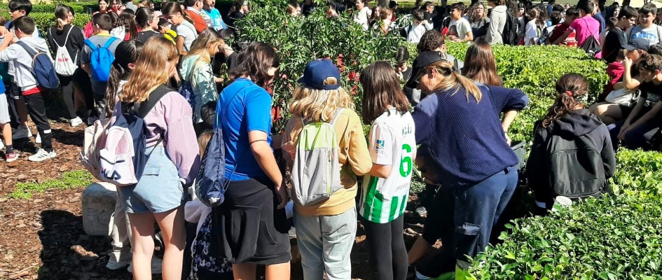 434876893_827520072738974_9056907949390426633_n