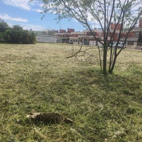 434934947_823148086509506_9062160930292792774_n