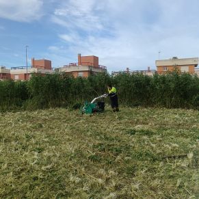 434937498_823147836509531_9180403957020738839_n