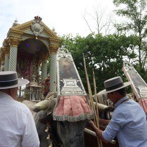 436223643_850690320421949_8715747493874506770_n