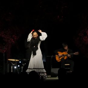 438222035_843264131164568_2618742377723020241_n