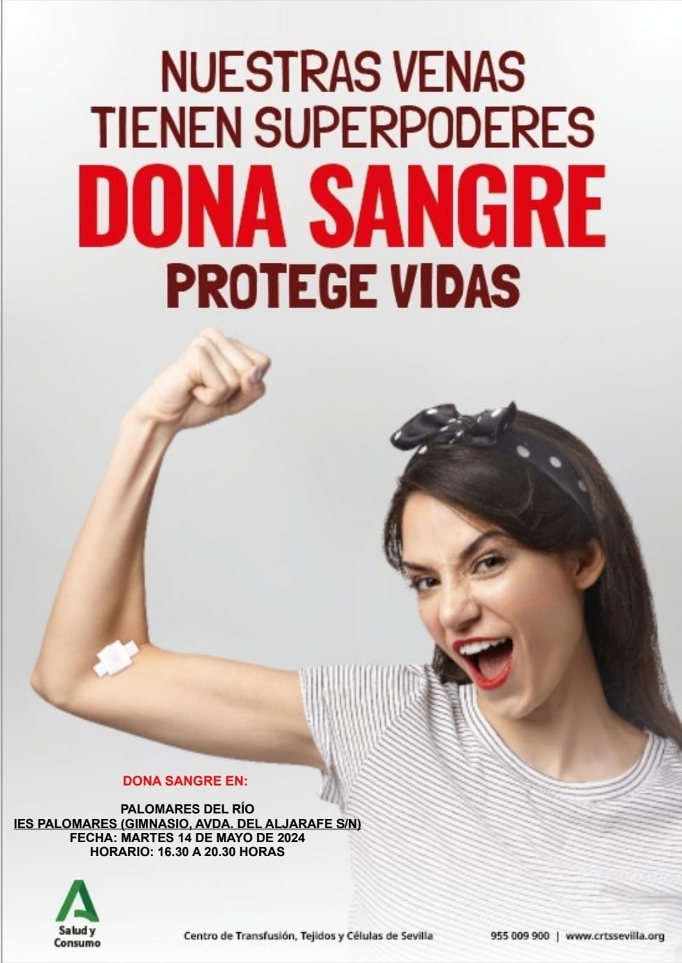 438231105_848376593986655_7151840532572936216_n