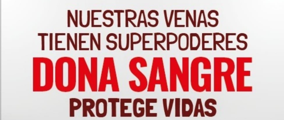 438231105_848376593986655_7151840532572936216_n_