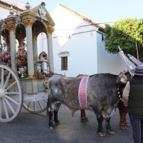 438253098_850364957121152_3532136291613984369_n