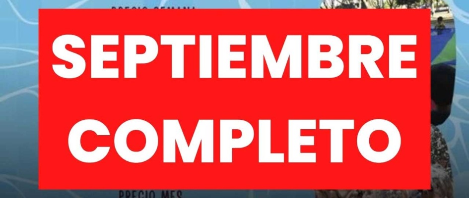 445361232_858604322963882_5528133634797296089_n_