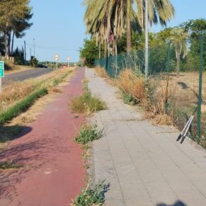 449131494_877362317754749_3933250021975377857_n