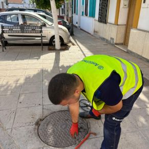 449435773_900162368808077_7360437569791656087_n