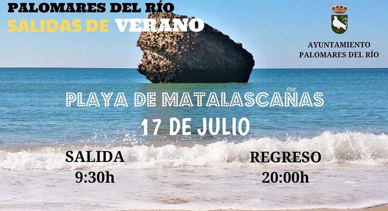 451132187_890098026481178_6859569969467409705_n