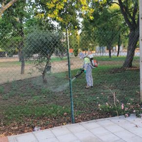 452225975_893071109517203_6484754164313387879_n