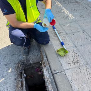 452583793_895788202578827_1981485745436004060_n