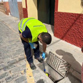 452620735_895788875912093_6808532974766570883_n