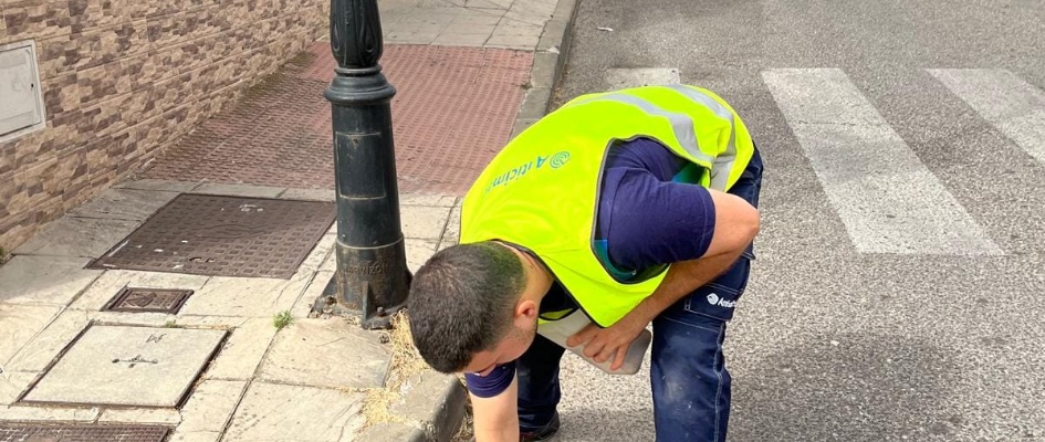 452669448_895788922578755_4230672275404675184_n