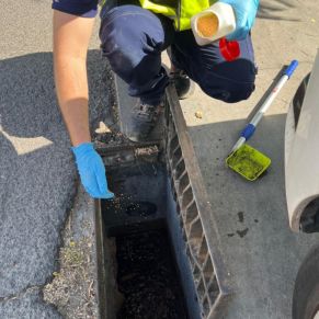 452843771_895788145912166_7555344820708537414_n