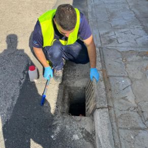 452879743_895788819245432_1871494489622938548_n