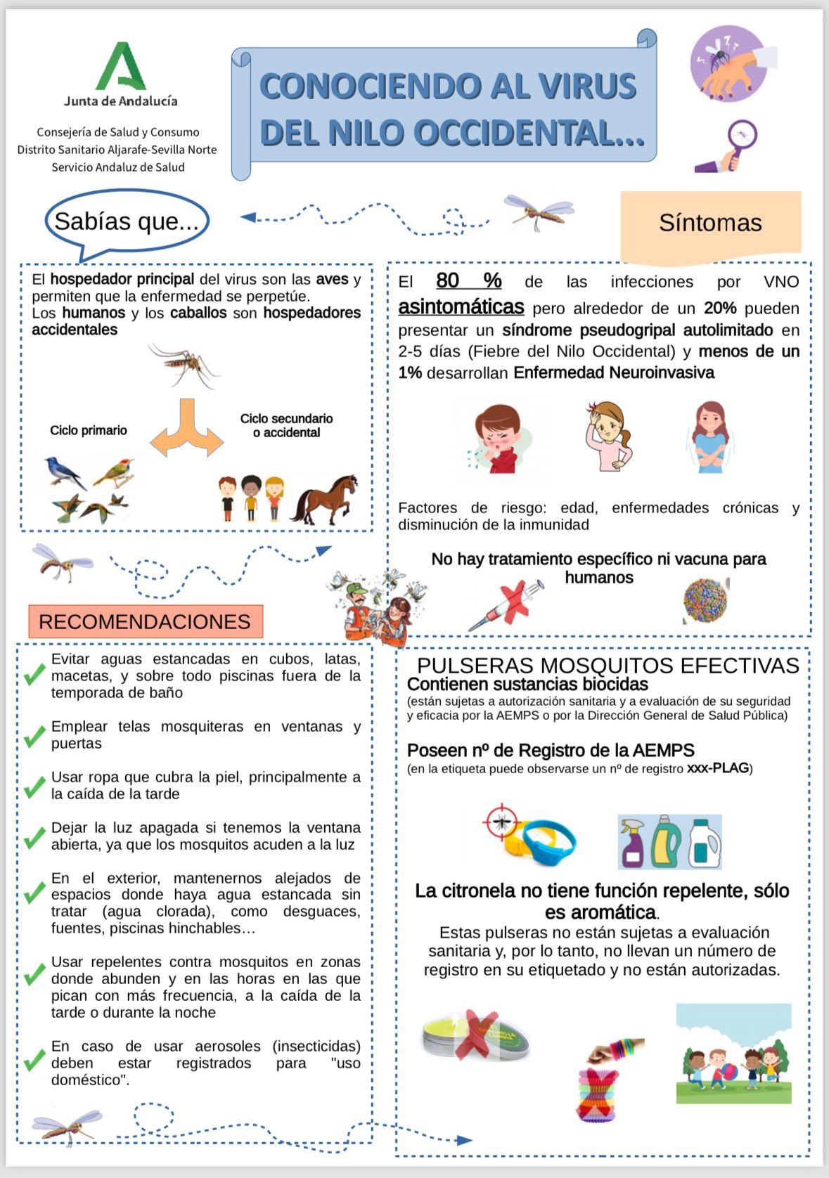 453415793_900162632141384_5933576054520772791_n