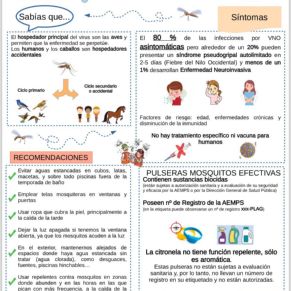 453415793_900162632141384_5933576054520772791_n