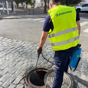 453432937_900162395474741_6622808815293304620_n