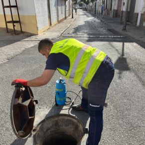 453481703_900162408808073_3216218569330547024_n