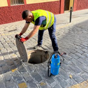 453508781_900162575474723_6288557993730574931_n