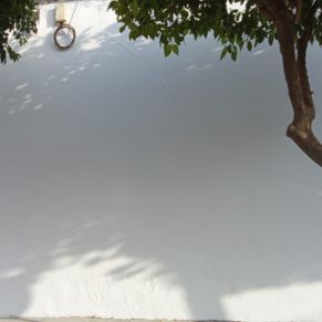 457503633_920390873451893_3769837309053817487_n