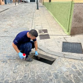 457510123_920380123452968_8114044491905689147_n