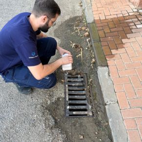 459542191_930761915748122_9200475118869584722_n