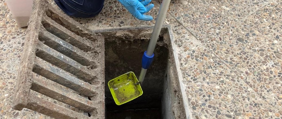 461080666_939093081581672_6840467886664812721_n