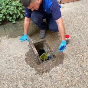 461205765_939093101581670_2317255498257278585_n