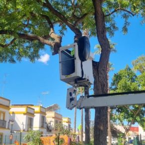 461415744_944226674401646_3583630813186309173_n