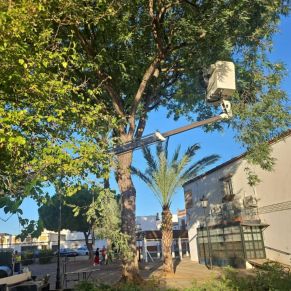 461503578_944226847734962_2376644655995495686_n