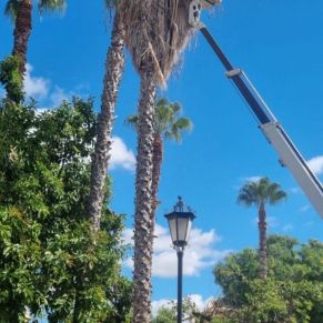 461596848_944226327735014_5793294965392075623_n