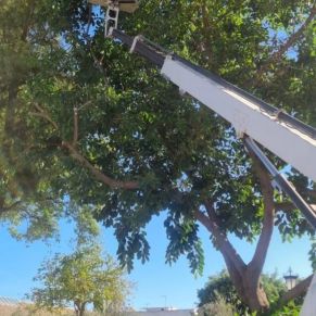 461692617_944226611068319_526305963171476046_n