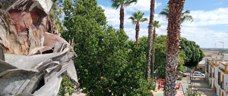 461770075_944226544401659_3937720393910308907_n