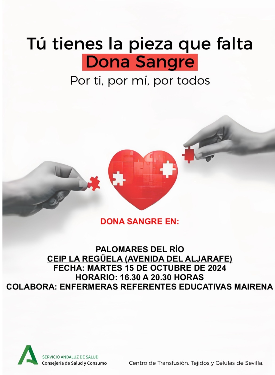 463064479_955413036616343_1179824078830284396_n