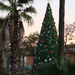 469275381_994817366009243_5946303998542430171_n