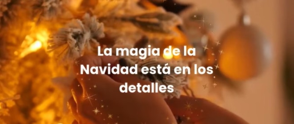 Captura de pantalla 2024-12-10 094921