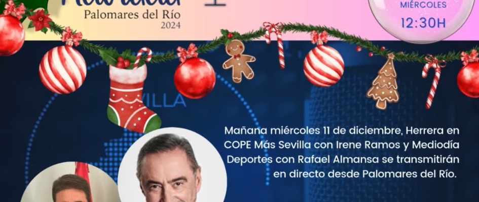 Captura de pantalla 2024-12-11 101156