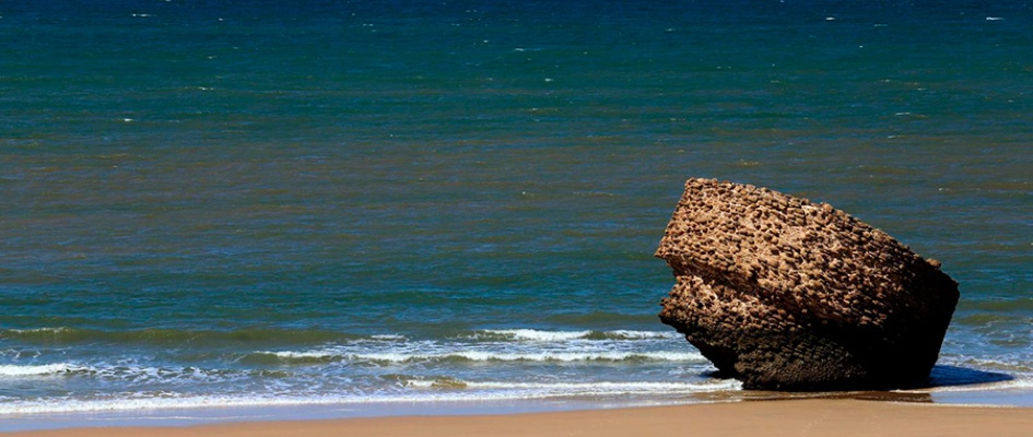 Playa-Matalascanas_1657944670_152247538_1200x675-2156986584