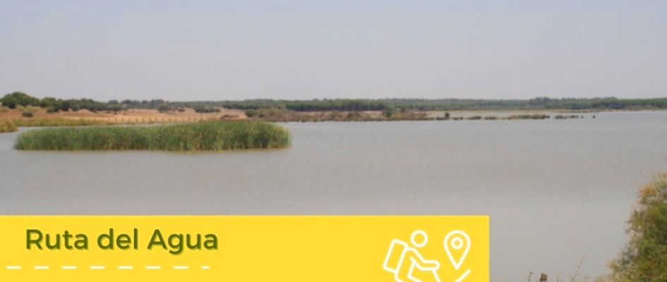 476349525_1041870624637250_8696393015326588600_n