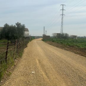 480472799_1052865083537804_463667647364656028_n